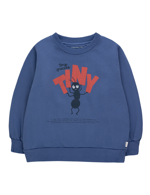 [TINY COTTONS]  TINY FORTIS FORMICA SWEATSHIRT  soft blue/red [3Y]