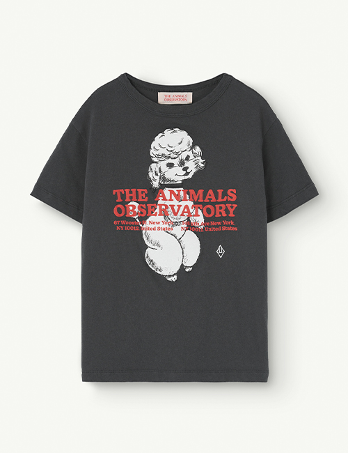 [The Animals Observatory]  ROOSTER KIDS T-SHIRT Black [3Y,4Y]