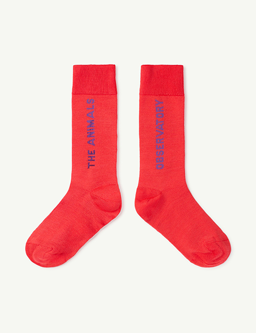 [The Animals Observatory]  Hen Red Socks